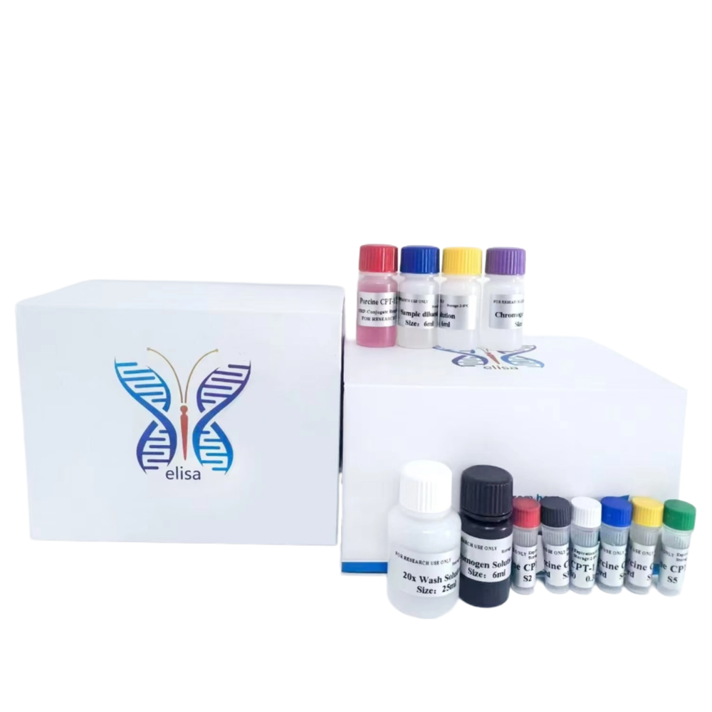 人凝血因子Ⅻ(FⅫ)elisa试剂盒