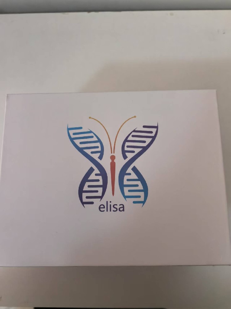 骆驼丙二醛（MDA）ELISA 试剂盒，货号cj-60091B